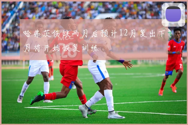 哈弗茨伤缺两月后预计12月复出下月将开始恢复训练
