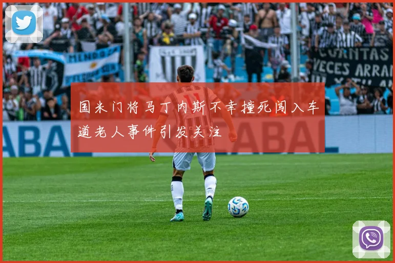国米门将马丁内斯不幸撞死闯入车道老人事件引发关注
