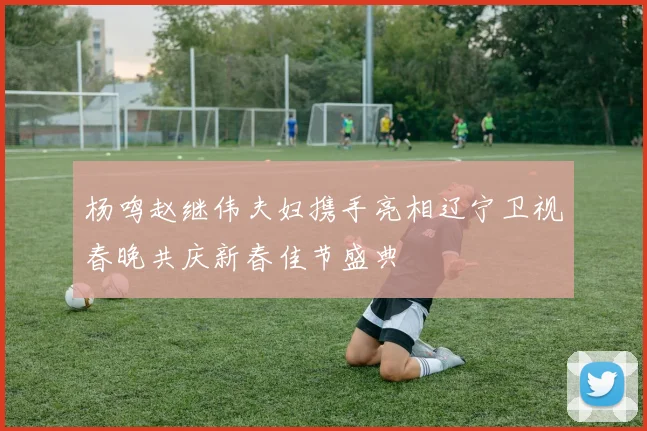 杨鸣赵继伟夫妇携手亮相辽宁卫视春晚共庆新春佳节盛典