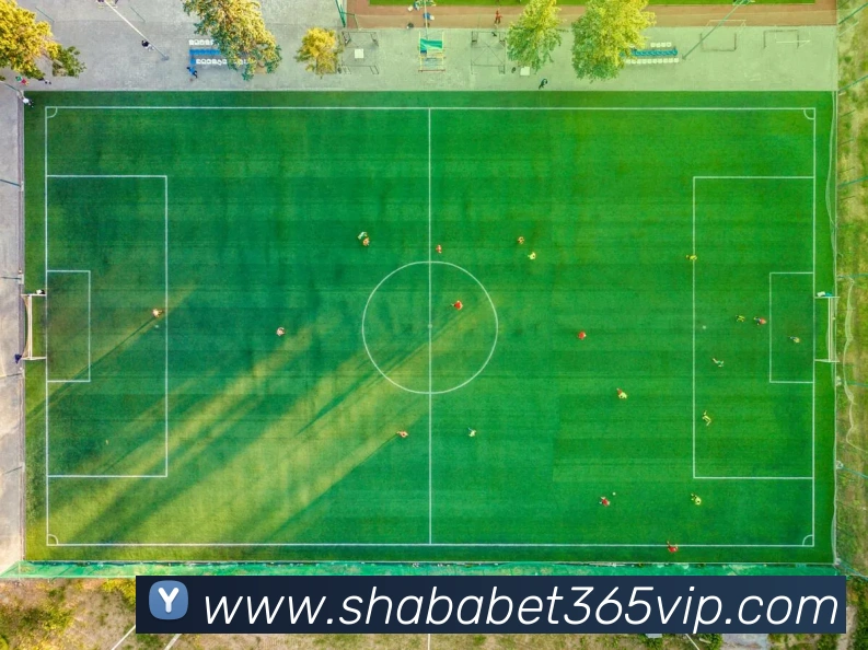 多媒体互动体验